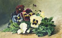 Winter Pansies, 1884 by Louis Bombled