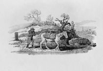 Geese carried to market from 'History of British Birds and Quadrupeds' von Thomas Bewick