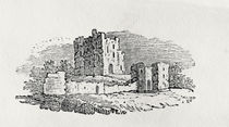 Castle Ruins from 'History of British Birds and Quadrupeds' by Thomas Bewick