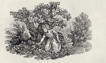 A Girl Gathering Flowers from 'History of British Birds and Quadrupeds' by Thomas Bewick
