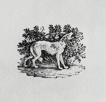 A Hound from 'History of Quadrupeds' by Thomas Bewick