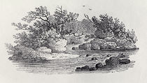 A Bend in the River from 'History of British Birds by Thomas Bewick