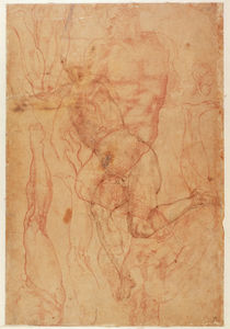 Figure Study by Michelangelo Buonarroti