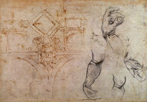 Scheme for the Sistine Chapel Ceiling von Michelangelo Buonarroti