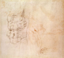 Torso Study von Michelangelo Buonarroti