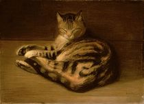 Recumbent Cat, 1898 by Theophile Alexandre Steinlen