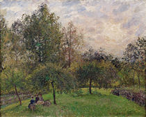 Apple Trees and Poplars in the Setting Sun von Camille Pissarro