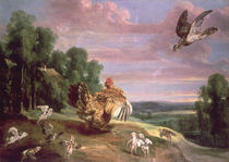 The Hawk and the Hen by Frans Snyders or Snijders