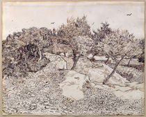 The Olive Trees von Vincent Van Gogh