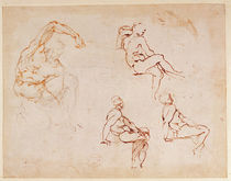 Figure Studies for a Man by Michelangelo Buonarroti