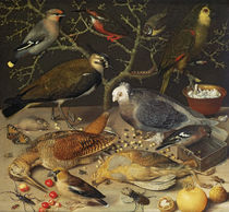 Still Life of Birds and Insects by Georg Flegel