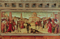 The Triumph of St. George, 1501-7 by Vittore Carpaccio