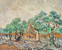The Olive Orchard, 1889 by Vincent Van Gogh