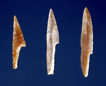 Three serrated points, from Volgu by Prehistoric