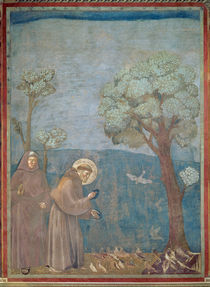 St. Francis Preaching to the Birds von Giotto di Bondone