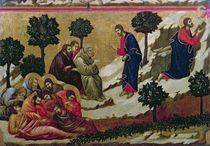 Maesta: Agony in the Garden of Gethsemane von Duccio di Buoninsegna