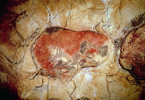 Bison from the Altamira Caves by Prehistoric