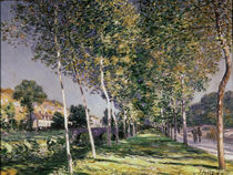 The Walk, 1890 by Alfred Sisley