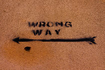 Wrong Way! by Sonja Dürnberger