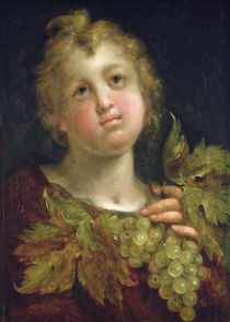 Boy with a bunch of grapes by Johann or Hans von Aachen