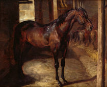 Dark Bay Horse in the stable von Theodore Gericault