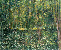 Trees and Undergrowth, 1887 by Vincent Van Gogh