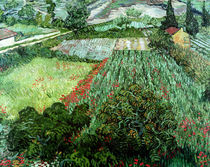 Field with Poppies, 1889 von Vincent Van Gogh