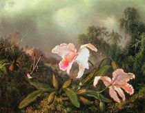 Jungle orchids and hummingbirds by Martin Johnson Heade
