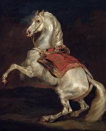 Napoleon's Stallion, Tamerlan by Theodore Gericault