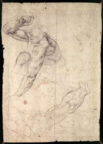 Male figure study von Michelangelo Buonarroti