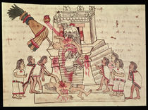 B.R. 232 fol.70r A human sacrifice from the Codex Magliabechiano by Aztec