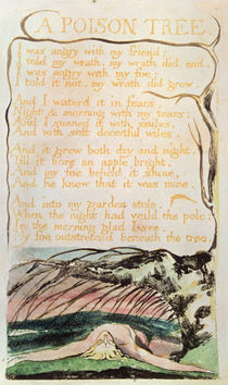 Songs of Experience; A Poison Tree by William Blake