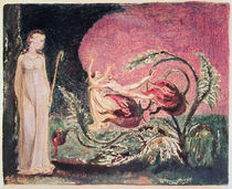 The Book of Thel: title page von William Blake