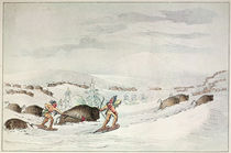 Hunting buffalo on snow-shoes by George Catlin