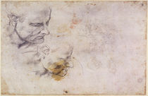W.60 Sketch of a male head von Michelangelo Buonarroti