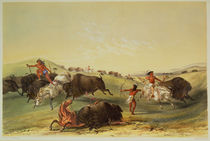 Buffalo Hunt, plate 7 from Catlin's North American Indian Collection by George Catlin