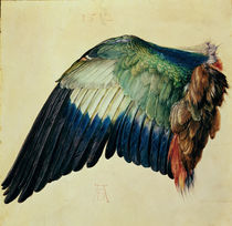 Wing of a Blue Roller, 1512 by Albrecht Dürer
