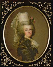 Archduchess Marie Antoinette Habsburg-Lothringen von Adolf Ulrich Wertmuller
