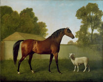 Dungannon, the property of Colonel O'Kelly by George Stubbs