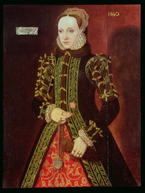 Elizabeth Fitzgerald, Countess of Lincoln by Steven van der Meulen