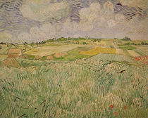 The Plain at Auvers, 1890 von Vincent Van Gogh