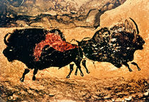 Rock painting of bison, c.17000 BC by Prehistoric