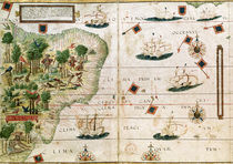 Brazil from the 'Miller Atlas' by Pedro Reinel von Portuguese School