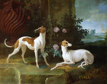 Misse and Turlu, two greyhounds of Louis XV von Jean-Baptiste Oudry