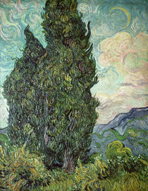 Cypresses, 1889 by Vincent Van Gogh