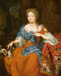 Portrait of a lady in a red dress by Thomas van der Wilt