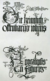 Inscriptions in Gothic script von Albrecht Dürer