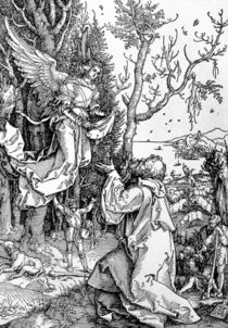 Joachim and the Angel from the 'Life of the Virgin' series by Albrecht Dürer