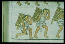 Ms Palat. 218-220 Book IX Aztec porters von Spanish School