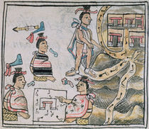 Ms Palat. 218-220 Book IX Aztecs consulting and following a map von Spanish School
